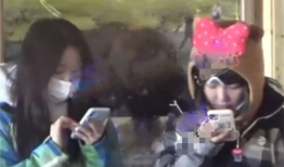 最新吃瓜爆料视频开火车,最新爆料视频背后的惊人真相